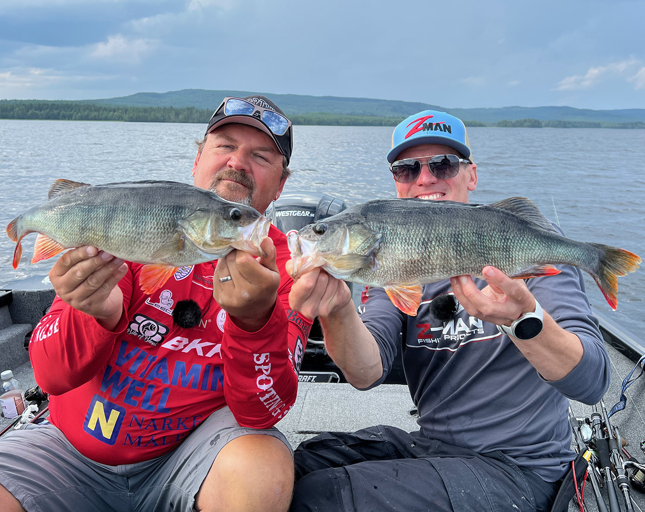 Z-Man Salty Ned ShrimpZ 6,3cm